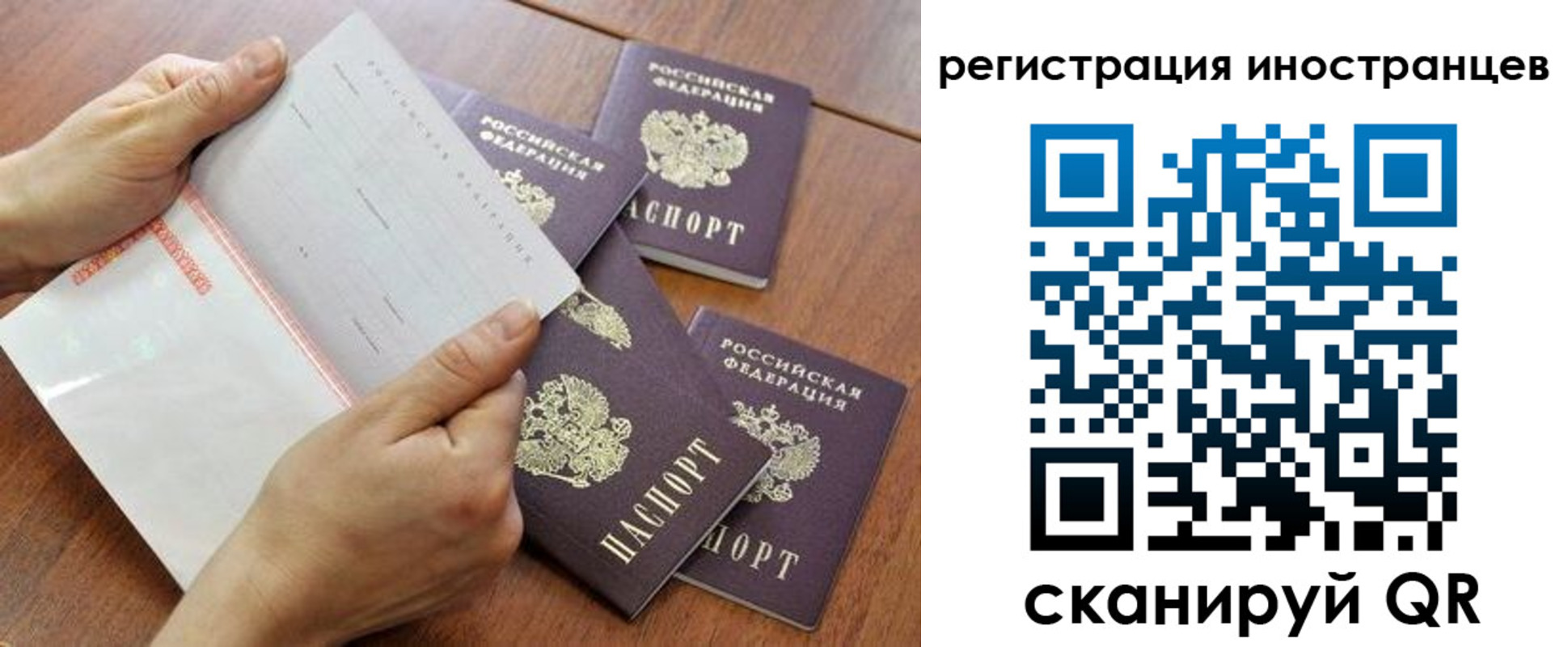 прописка поиск в Трёхгорном